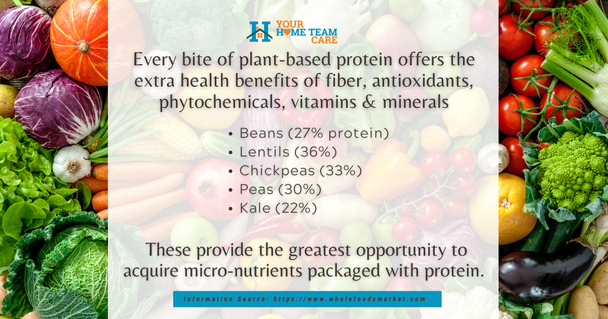 Health and wellness - Plant based protein for seniors